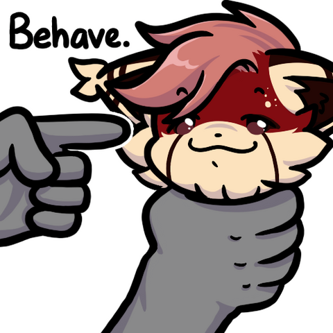 BEHAVE BEHAVE