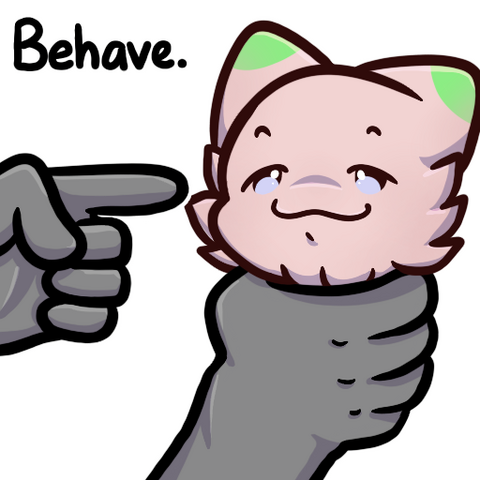 BEHAVE BEHAVE